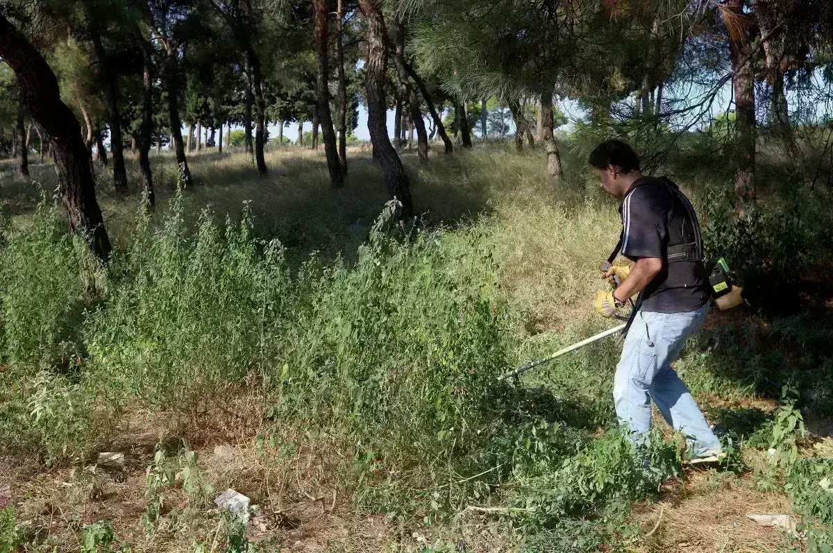 akatharista.apps.gov.gr: Μέχρι 15 Ιουλίου η παράταση στις δηλώσεις για τα ακαθάριστα οικόπεδα