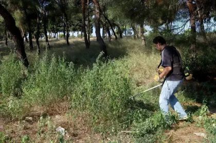 akatharista.apps.gov.gr: Μέχρι 15 Ιουλίου η παράταση στις δηλώσεις για τα ακαθάριστα οικόπεδα
